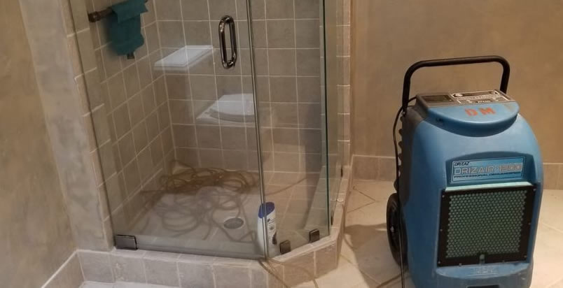 Hollywood Water Damage Certificate