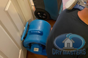 Mold remdiation in Dania Beach