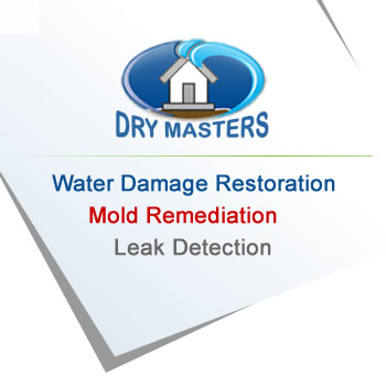 Water leaks services in Davie