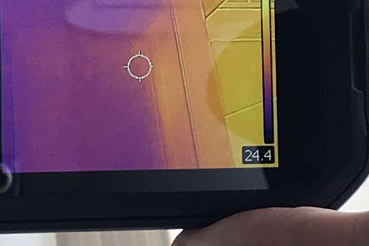 Hollywood Mold Detection