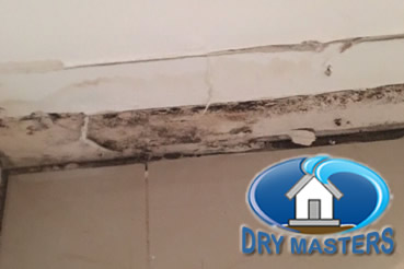 Mold removal in Hollywood